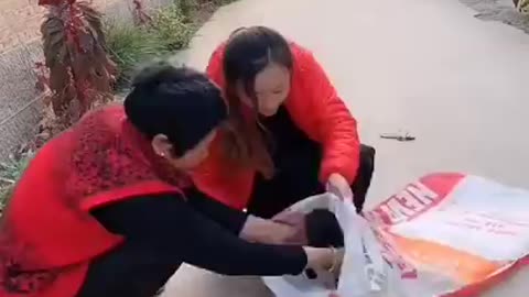 Chinese Funny Video 2023