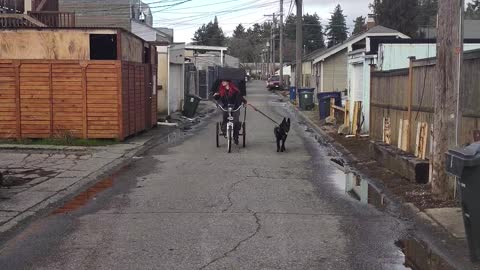 Siren ☀️ Charlie