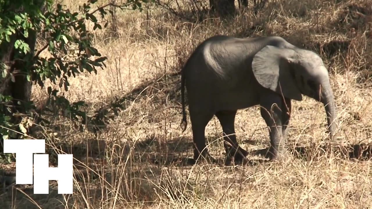 Malawi
