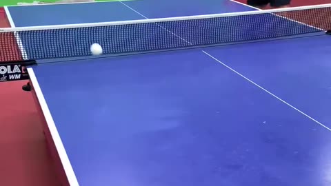 €5 Vs €50 Vs €500 Table Tennis Racket