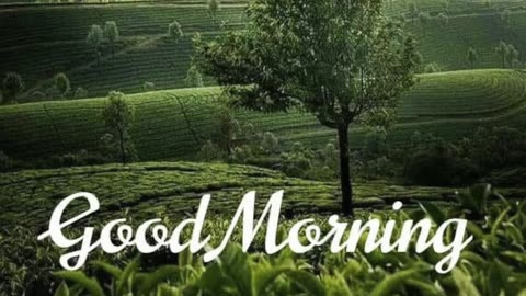 🕋Beautiful Morning