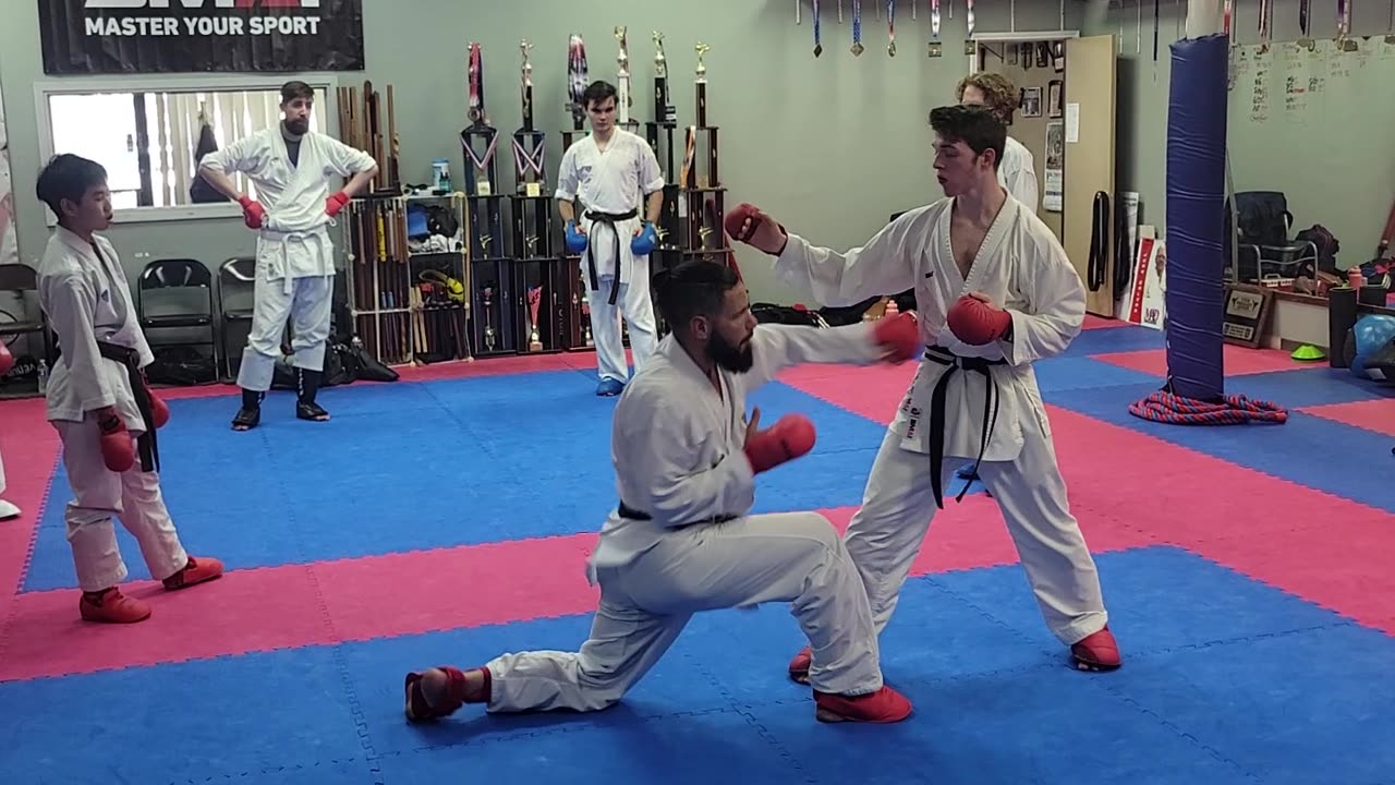 Olympic point style karate!