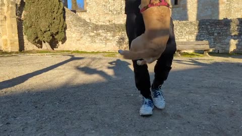 2023-02-05 (2) - Pitbull féroce - Twitch Meutemediatique (clip)