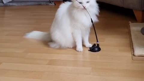 still getting the hang_of a new toy