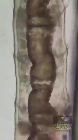 STILL DR!NKING TAP WAT3R? 😳..MU5T..WATCH..TOUTE...SUITE