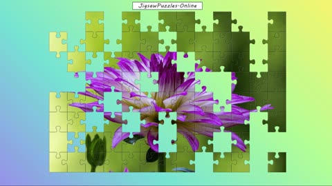 Dahlia Jigsaw Puzzle Online