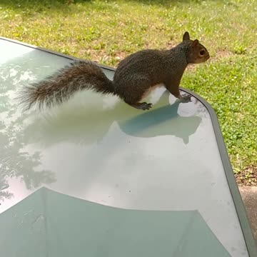 A good friend ♥️!!!