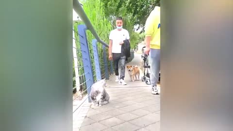 It's really funny to watch it all