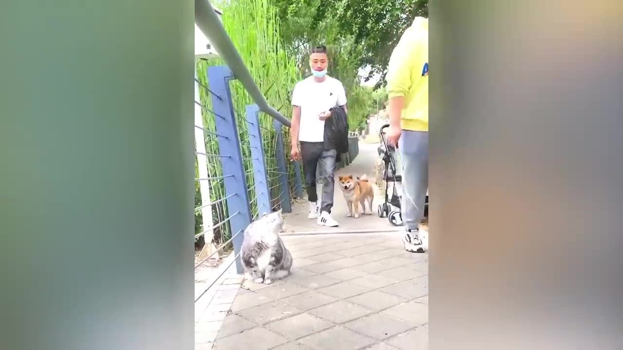 It's really funny to watch it all