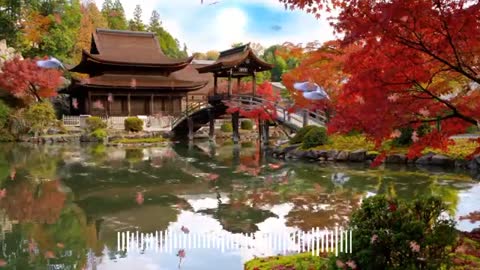 Relaxing Music | Sleeping, Meditation, Stress Relief | [6951] ⭐️