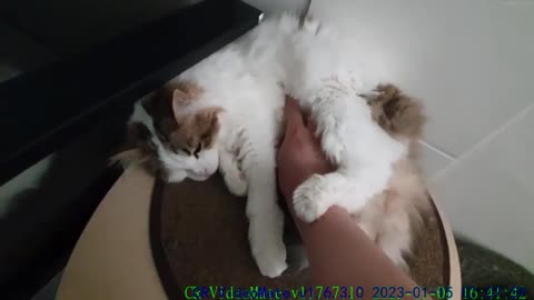 I think I'll be bitten