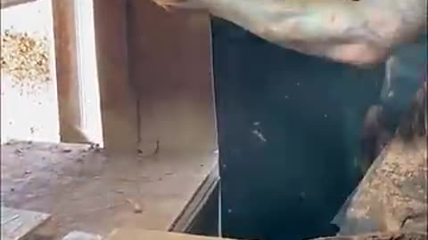 👊👊👊