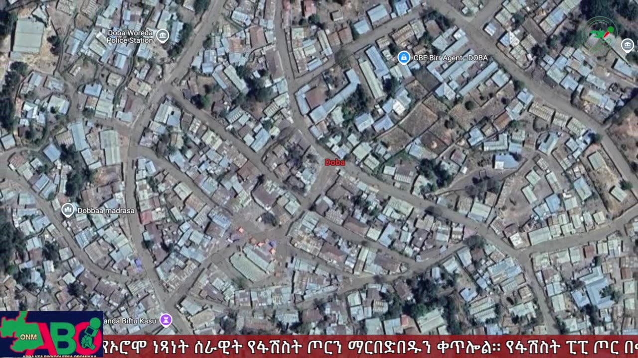 ነሐሴ 29፣ 2024 ONM-ABO እለታዊ የኦሮሞ ነፃነት ሰራዊትና የኦሮሚያ ውሎ!