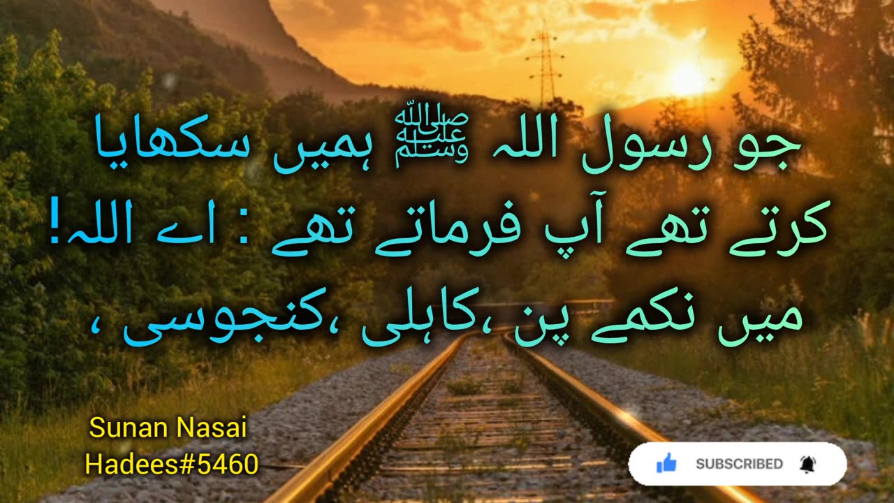 Rasool ALLAH ﷺ Ne Farmaya❤️| Sunan Nasai| Hadees e Mustadrak|