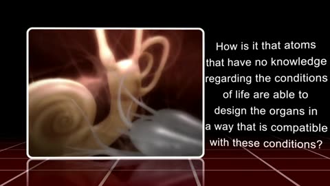 Chapter 20- The Proof of Organs - Questions on Islam