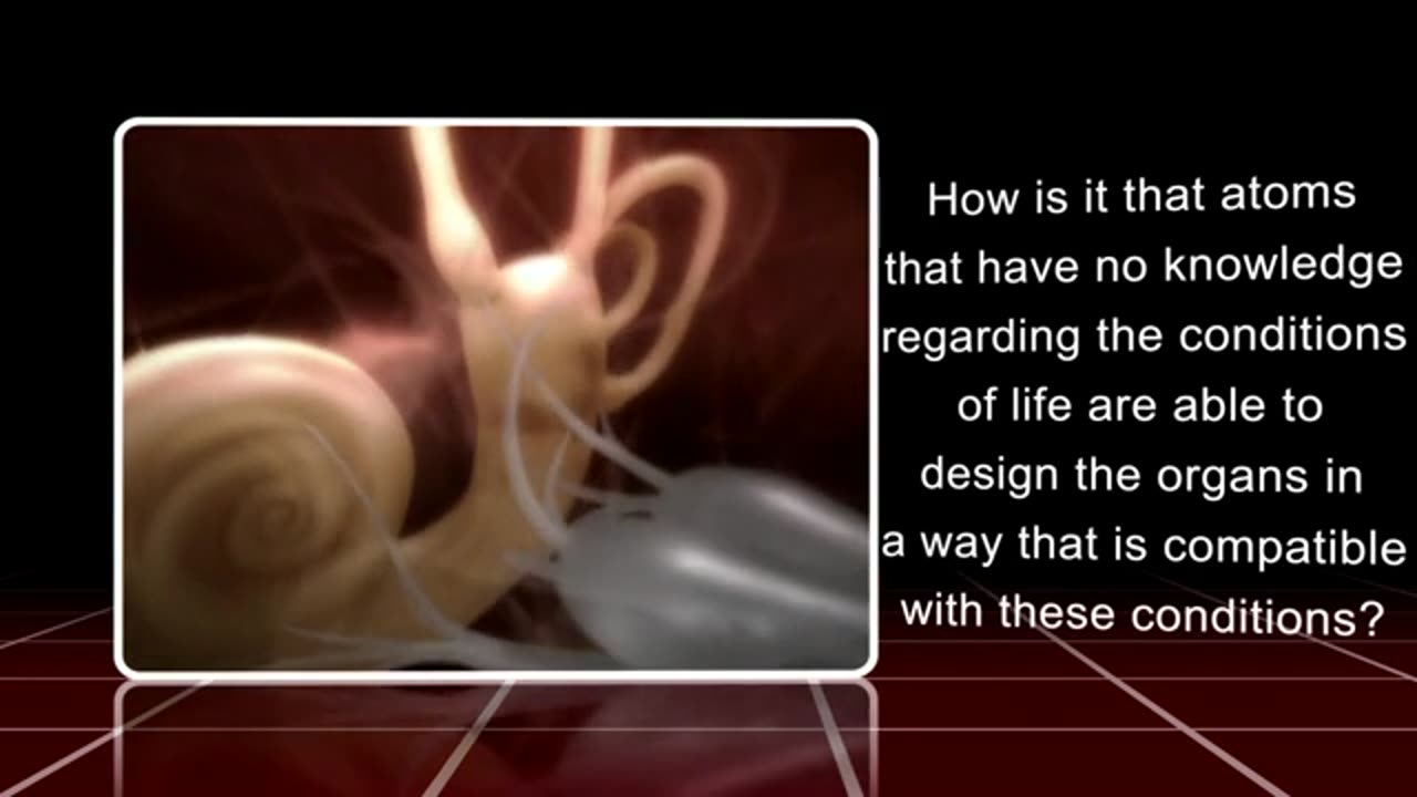 Chapter 20- The Proof of Organs - Questions on Islam
