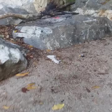 5.10.2024 Anzac Park, Kuranda (2)