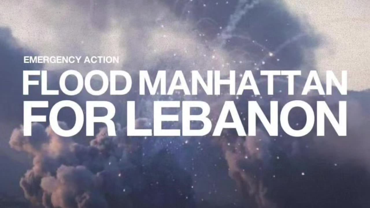 EMERGENCY ACTION FOR LEBANON