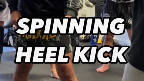Spinning Heel Kick
