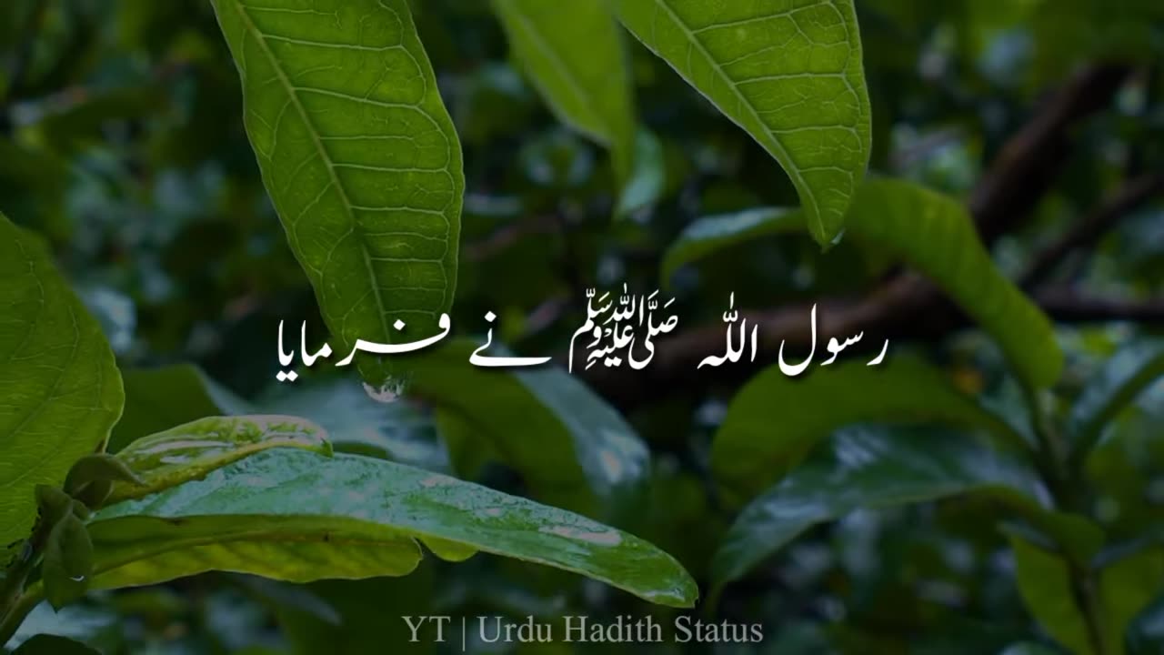 🌷🌷🌷Hadees In Urdu Status For Whatsapp🌹🌹🌹 ｜｜ 💞💞Hadees Status New Video💕