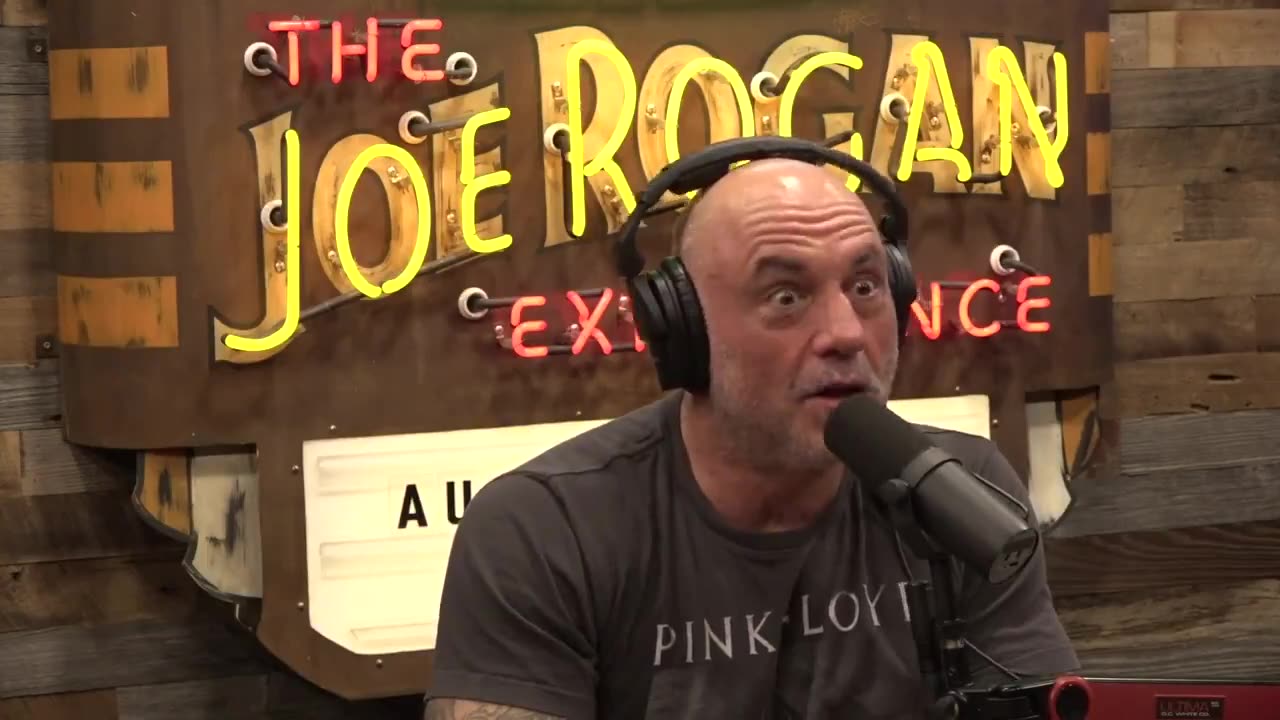 WATCH: Navy SEAL Shawn Ryan and Joe Rogan discuss how the Cheney’s got filthy rich off of forever wars.