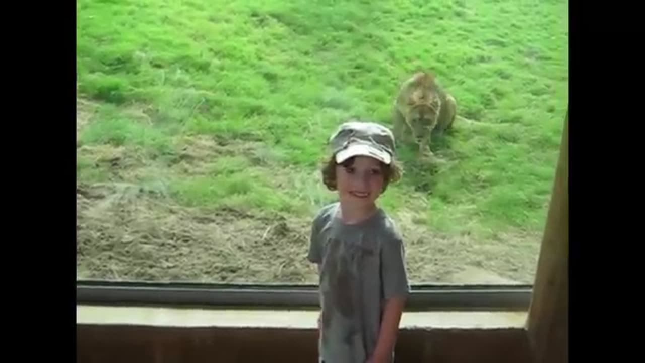 Kids at the zoo