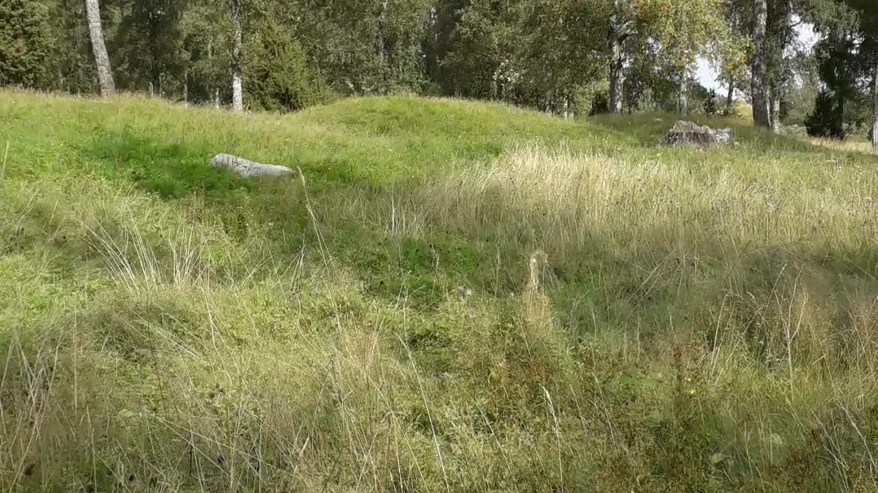 Viking Graveyard (700 A.D.)