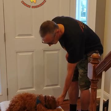 Bo Bear and the 5 Fuzzy Tail Game