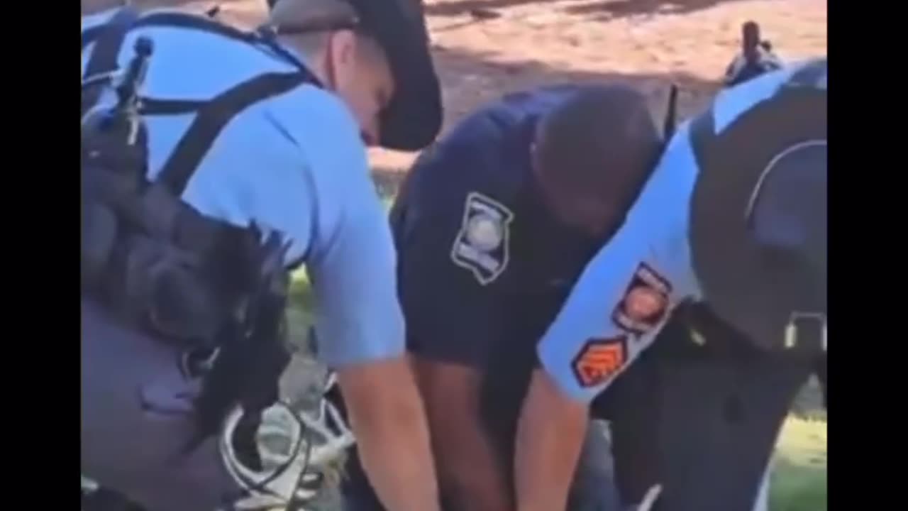 Protestor Tased At Emory Palestine Protest ATL