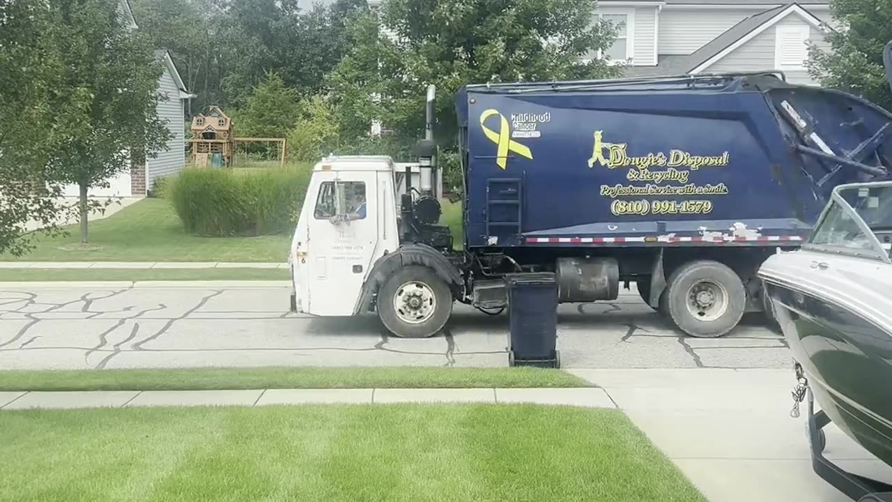 Electric Love Between Garbage Man And Dog