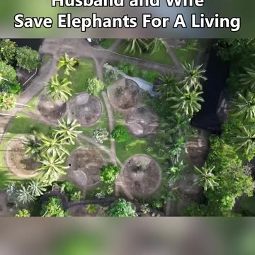 Couple Saves Elephants for a Living | Kimpton's Round The World Travel Show