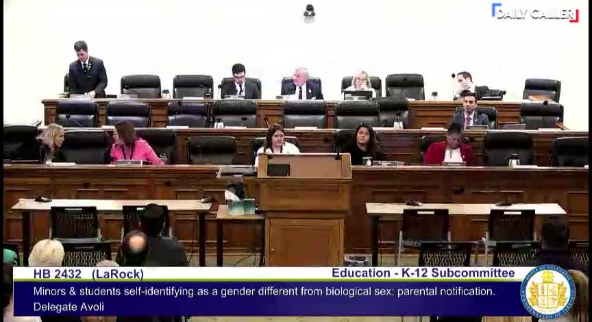 Sage’s Law Hearing Testimony