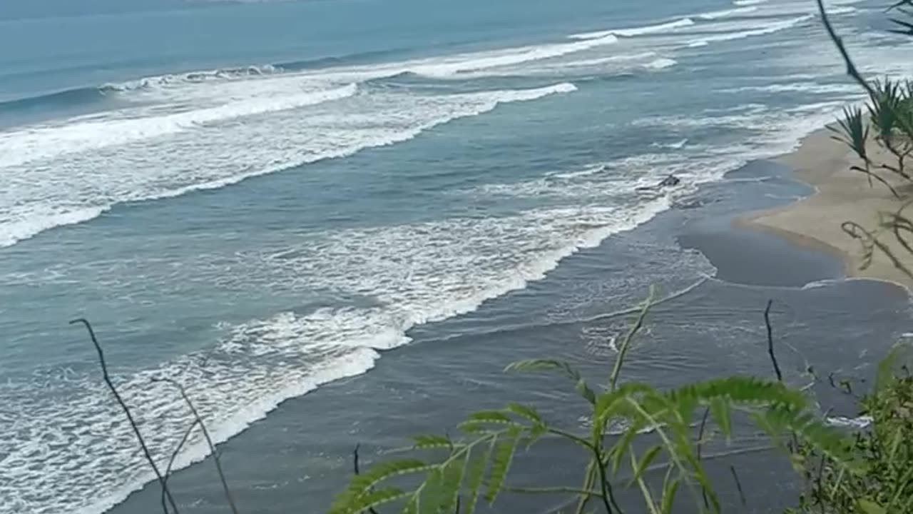 Holiday at the beach