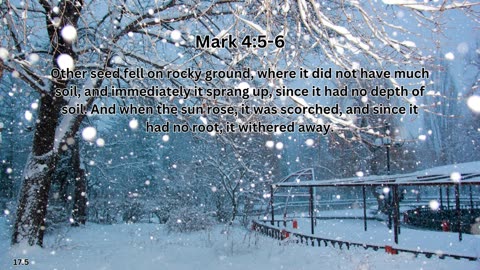 Journey of faith and spiritual growth | Mark 4:5-6 #dailybread #dailyverse #dailybibleverse