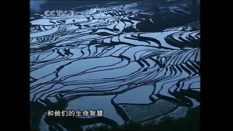 哈尼梯田的科技秘密（上）