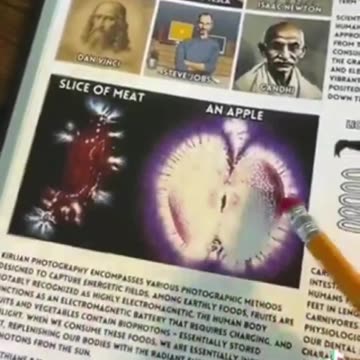 Grain of Truth? "You Don't Need Food You Need Charging- We Are Electrical Beings"