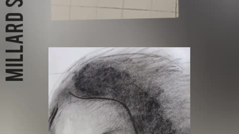 Using a grid to draw faces.