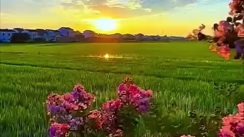 Good Morning