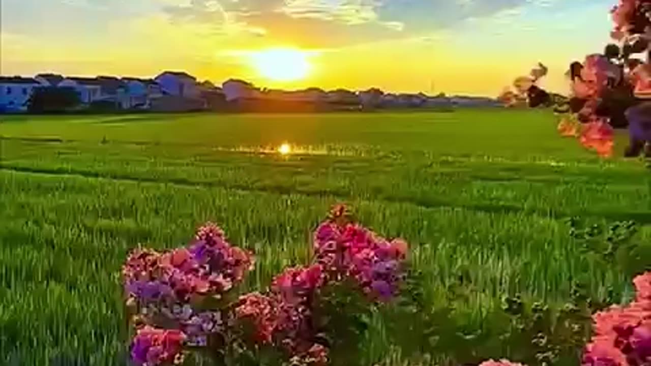Good Morning