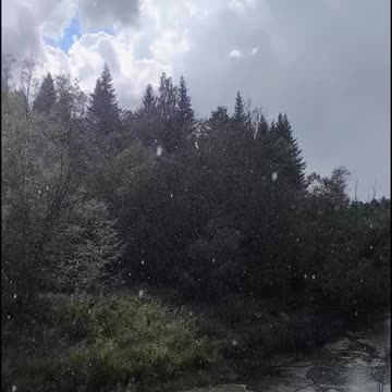 Why Do Raindrops Look Larger in the Sunlight?