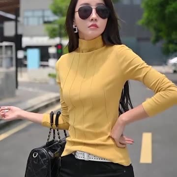 Turtleneck T-Shirt Women Slim Thick Warm Autumn