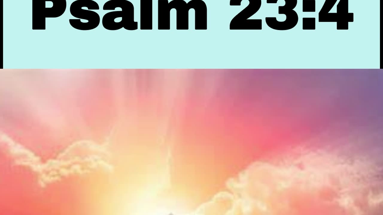 Daily Bible Verse - Psalm 23:4