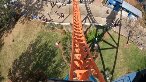 Ice Breaker - Sea World Orlando