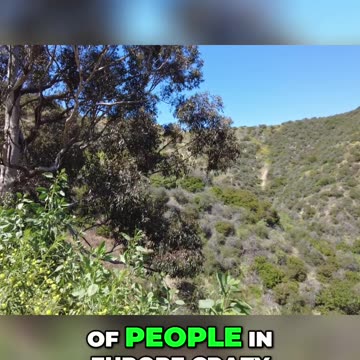 Unchecked Immigration: Europe's Rise of Far Right Politics