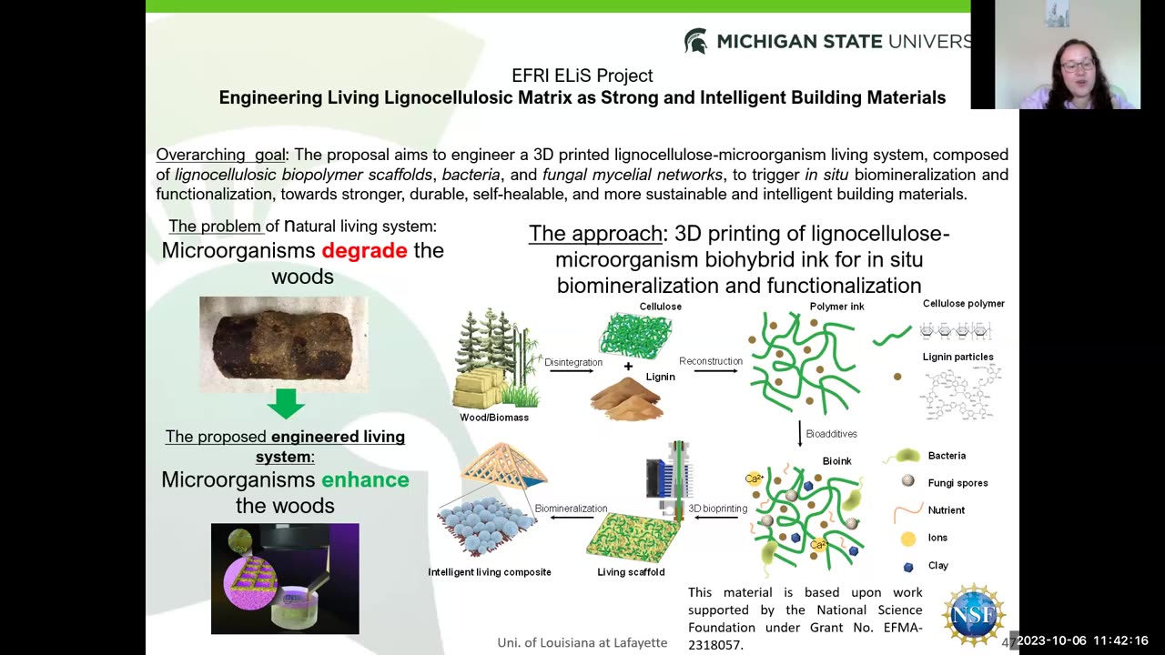 Dr. Bige Deniz Unluturk - Molecular Communication Platforms at Multiple Scales Oct. 9, 2023