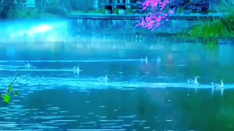 landscapevideography A group of beautiful scenery for friends