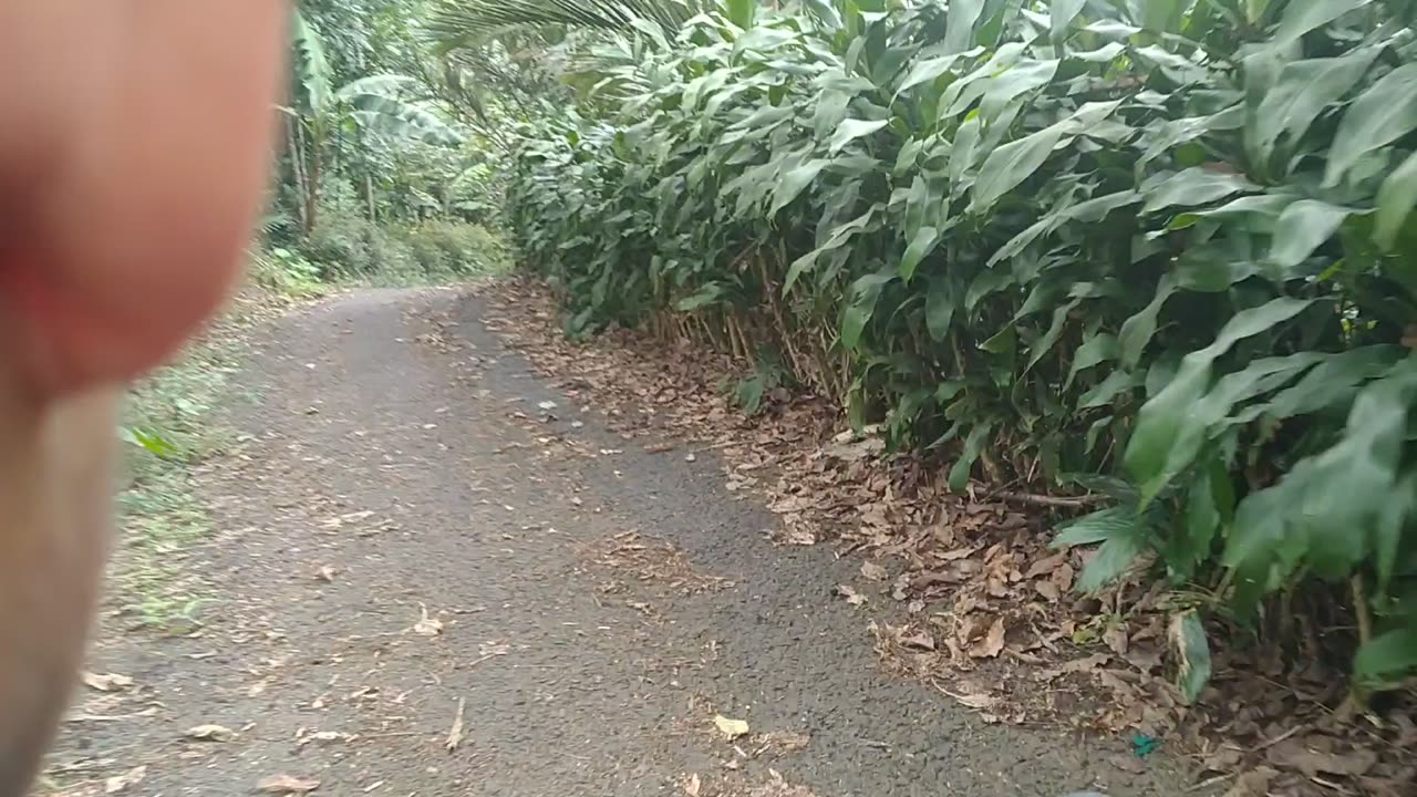 The return trip from the rocky waterfall, Medanglayang