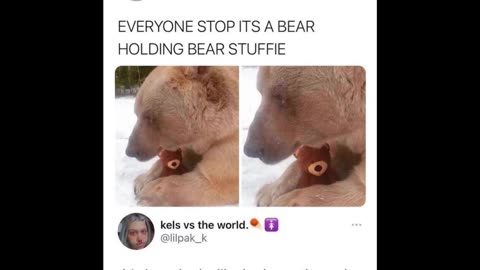 Random Memes 172