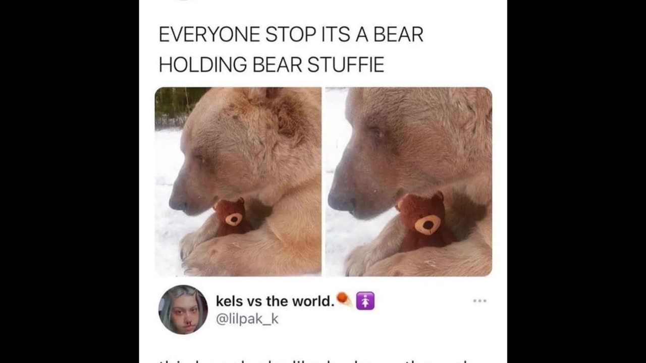 Random Memes 172