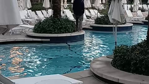 Swimming Pool at the Baha Mar Hyatt in the Bahamas